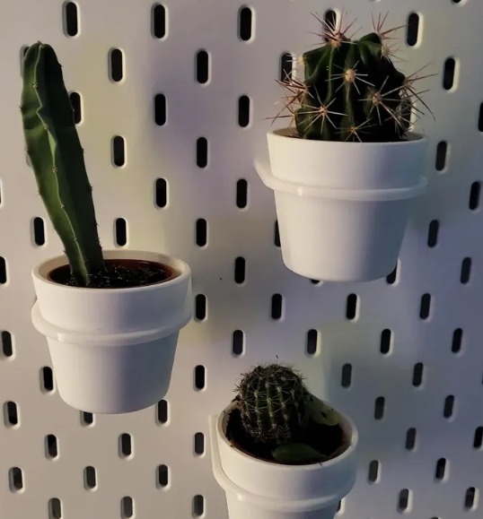 Plant holder
